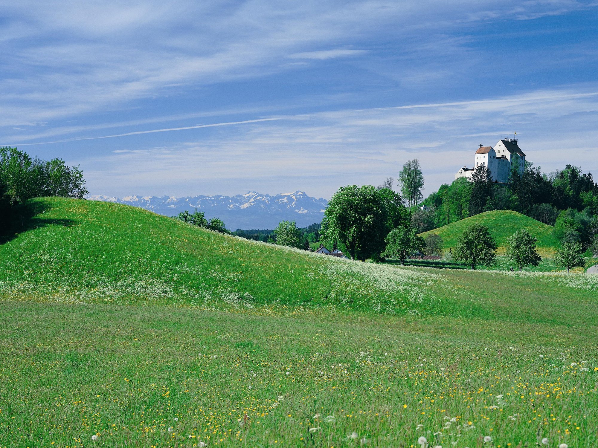 Waldburg_Blick_ueber_Wiesen_und_Burg.jpg